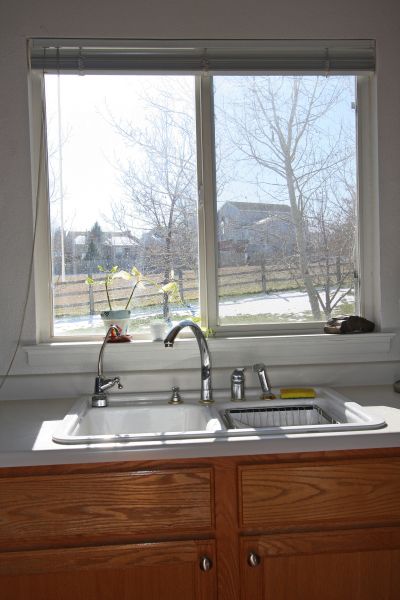 Kitchen Window Installation in Wesley Chapel